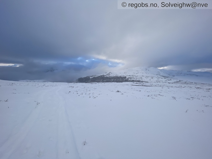 Image Of Avalanche Activity