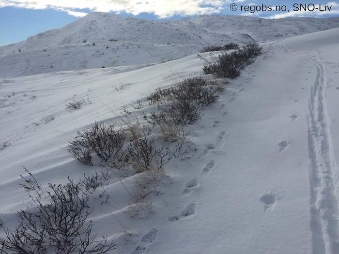 Image Of Snow Cover