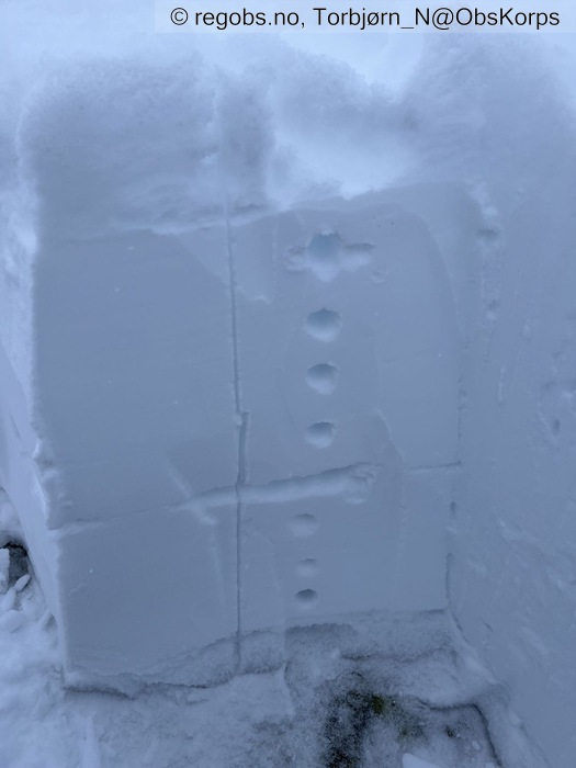 Image Of Snow Profile