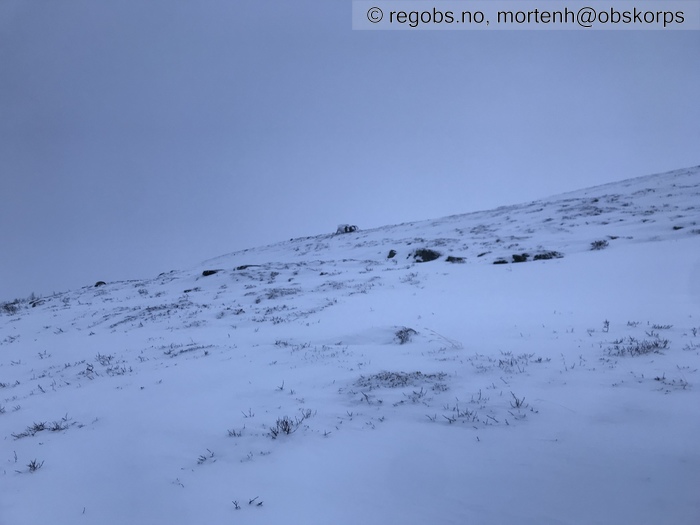 Image Of Snow Cover