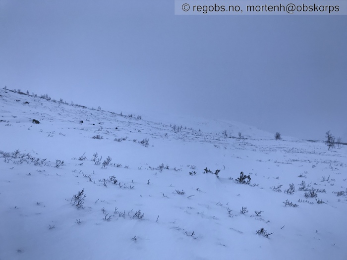 Image Of Snow Cover