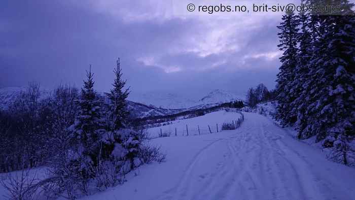 Bilde Av Snødekke