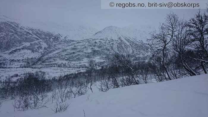 Image Of Snow Cover