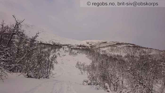 Image Of Snow Cover