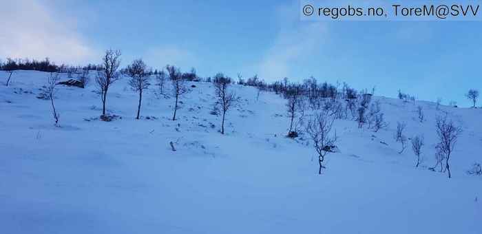 Image Of Snow Cover