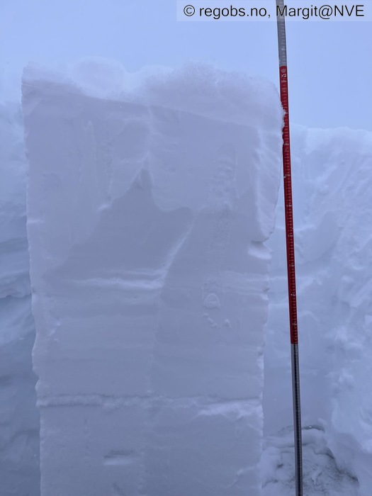 Image Of Snow Profile