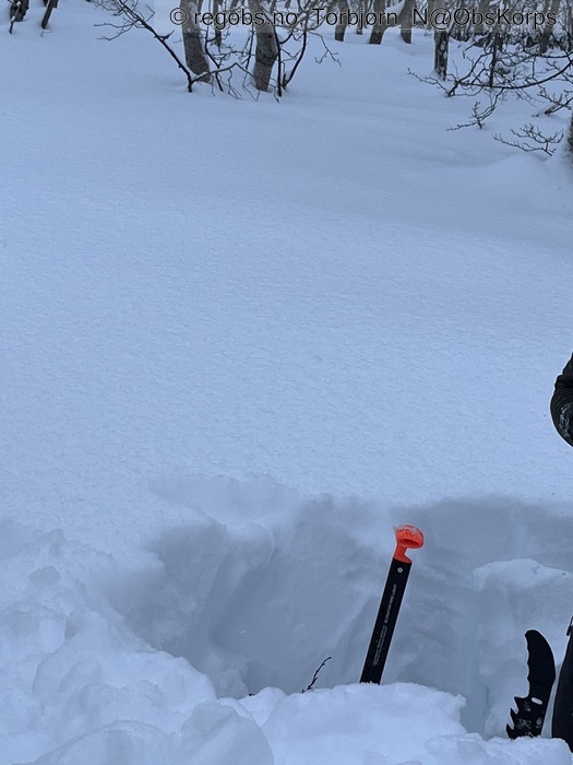 Image Of Snow Cover