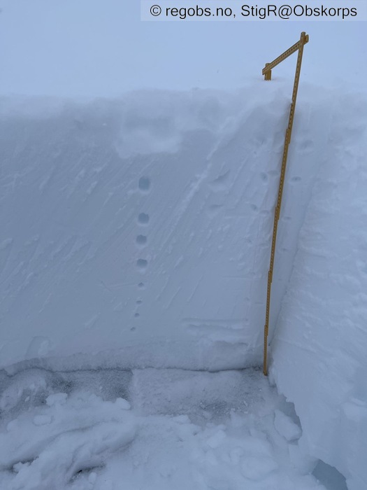 Image Of Snow Profile