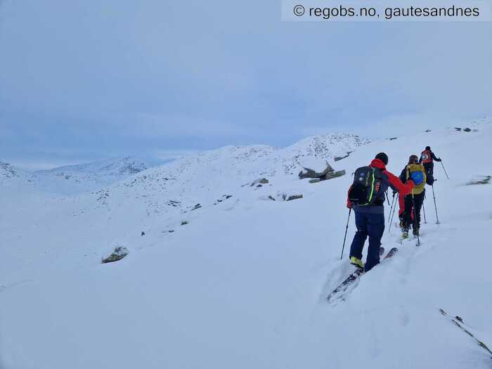 Image Of Snow Cover