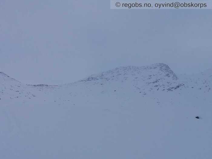 Image Of Snow Cover