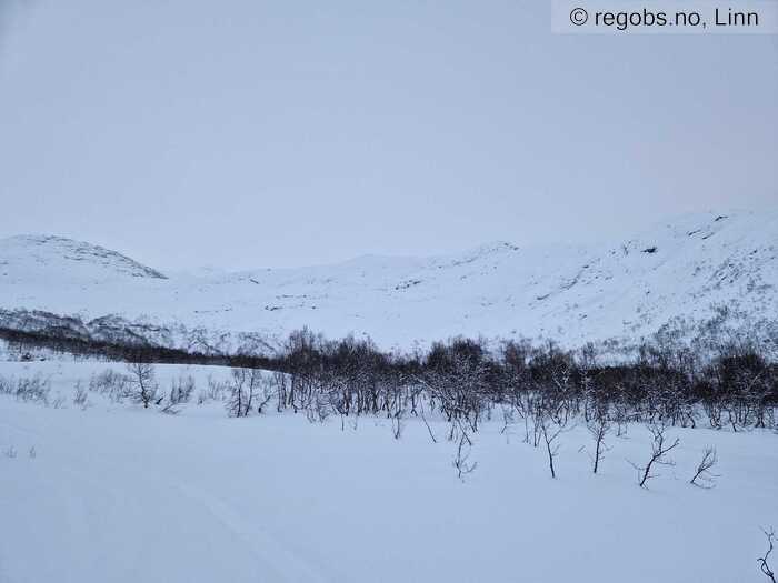 Image Of Snow Cover