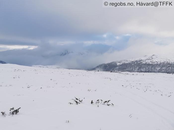 Bilde Av Snødekke