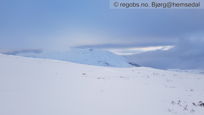 Bilde Av Snødekke