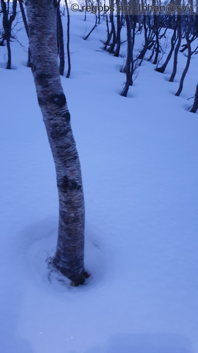 Image Of Snow Cover