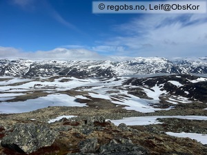 Observation photo 4