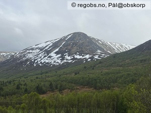 Observation photo 13