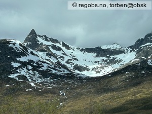 Observation photo 10