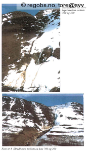 Observation photo 3