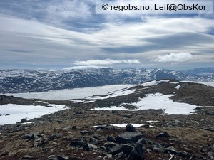 Observation photo 3