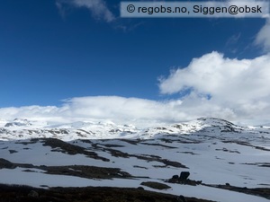 Observation photo 12