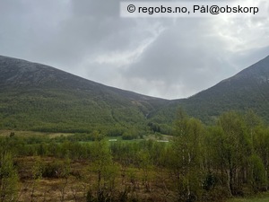 Observation photo 14