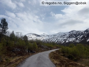Observation photo 15