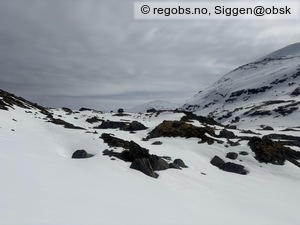 Observation photo 23