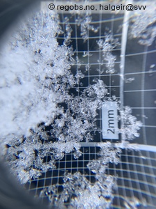 Image Of Snow Profile