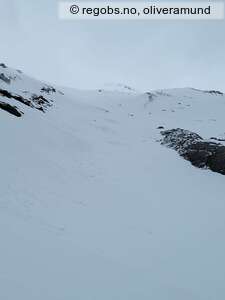 Observation photo 4