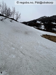 Observation photo 7