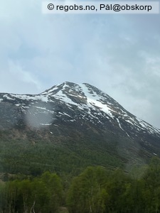 Observation photo 15