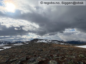 Observation photo 7