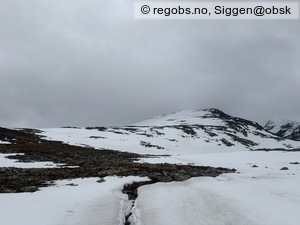 Observation photo 6