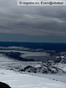 Observation photo 7