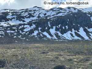 Observation photo 5