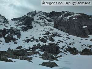 Observation photo 6