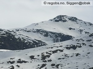 Observation photo 14