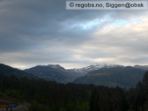 Observation photo 1