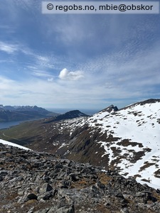 Observation photo 3