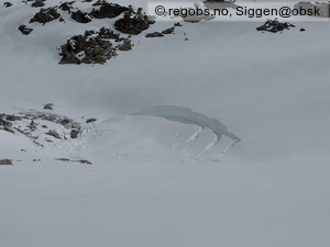 Observation photo 5