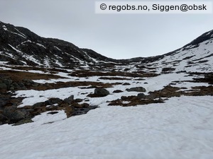 Observation photo 9
