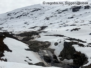 Observation photo 3