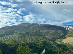 Observation photo 20