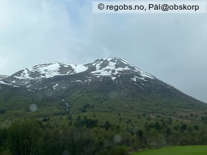 Observation photo 18