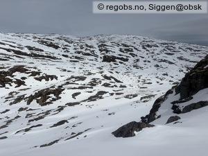 Observation photo 4