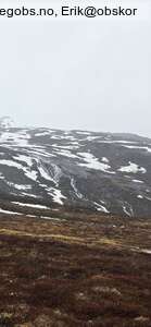Observation photo 6