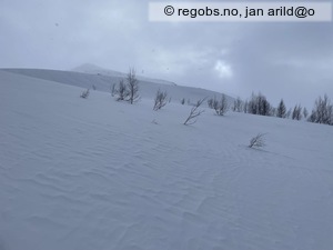Bilde Av Snødekke