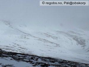 Observation photo 6