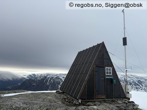 Observation photo 3