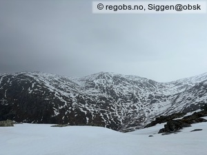Observation photo 7